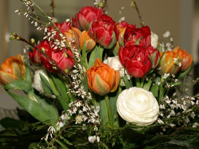 Blumen Blumen